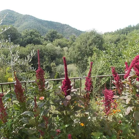 Villa Il Corniolo Appartamento La Cometa Διαμέρισμα Morra